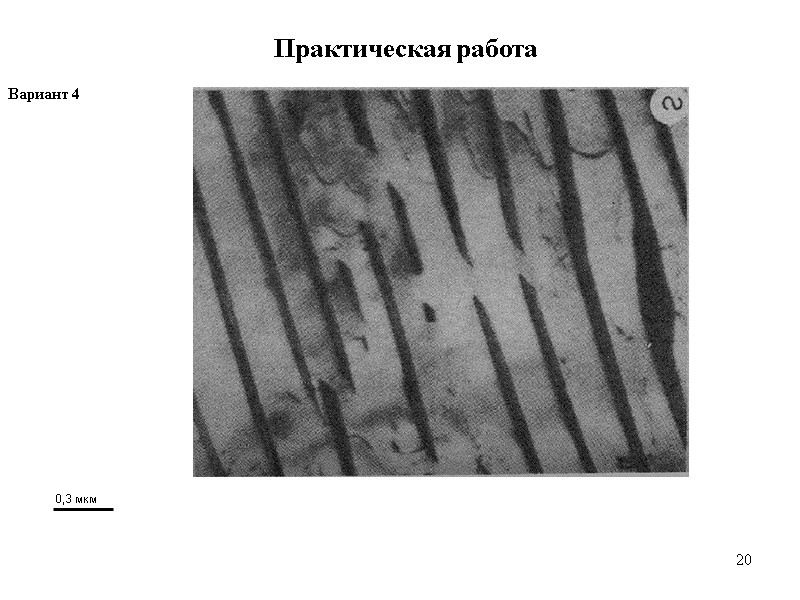 20 20 Практическая работа Вариант 4  0,3 мкм
